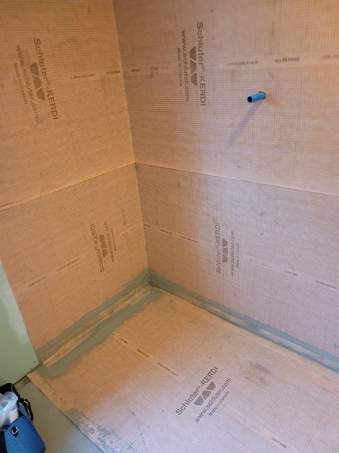 Image of accessible shower 